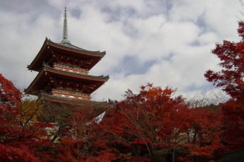 日本精密體檢 