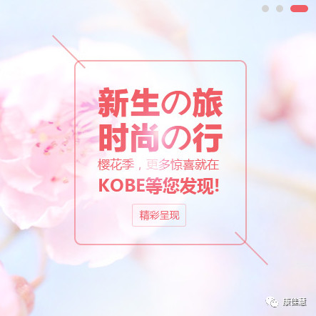 日本體檢中介